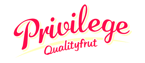 logo Privilege