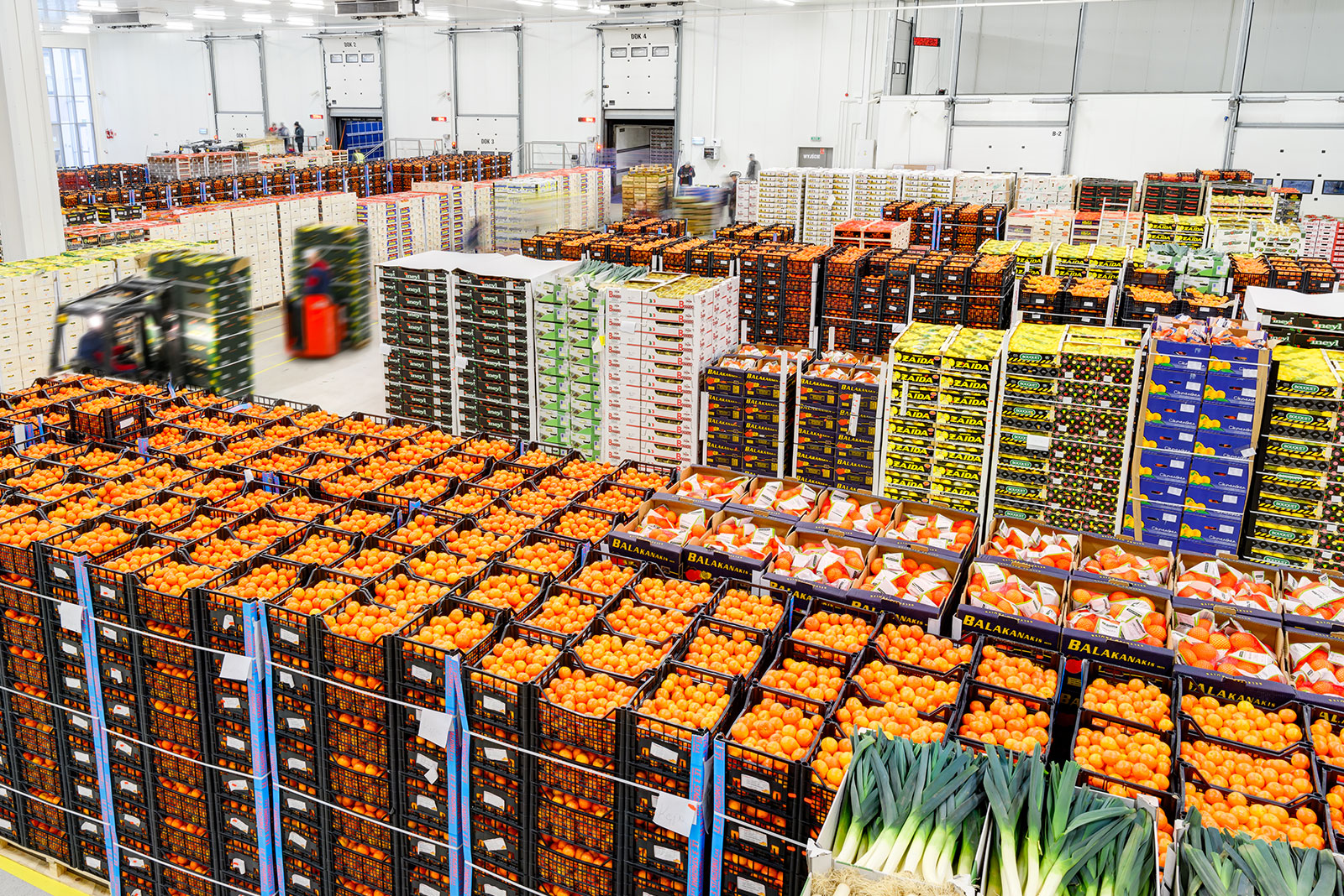 Warehouse with fruit and vegetables