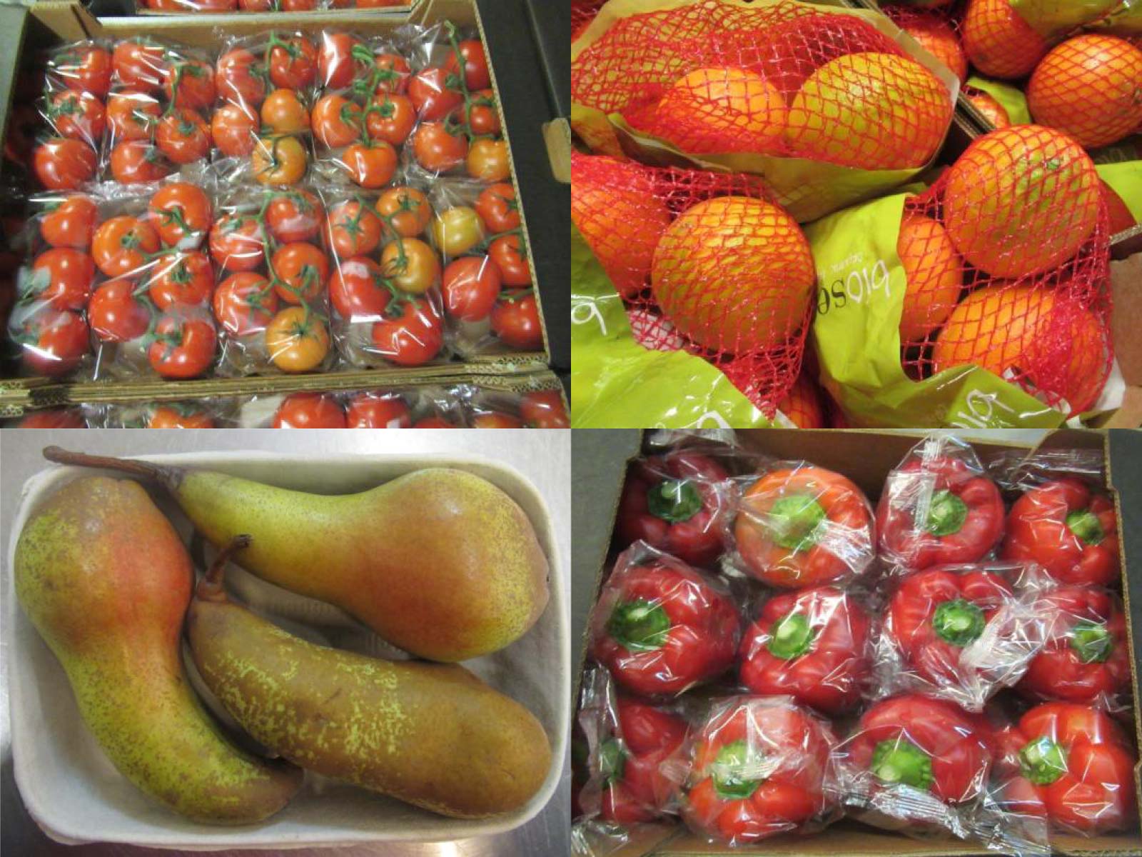 ecological fruits from consorfrut