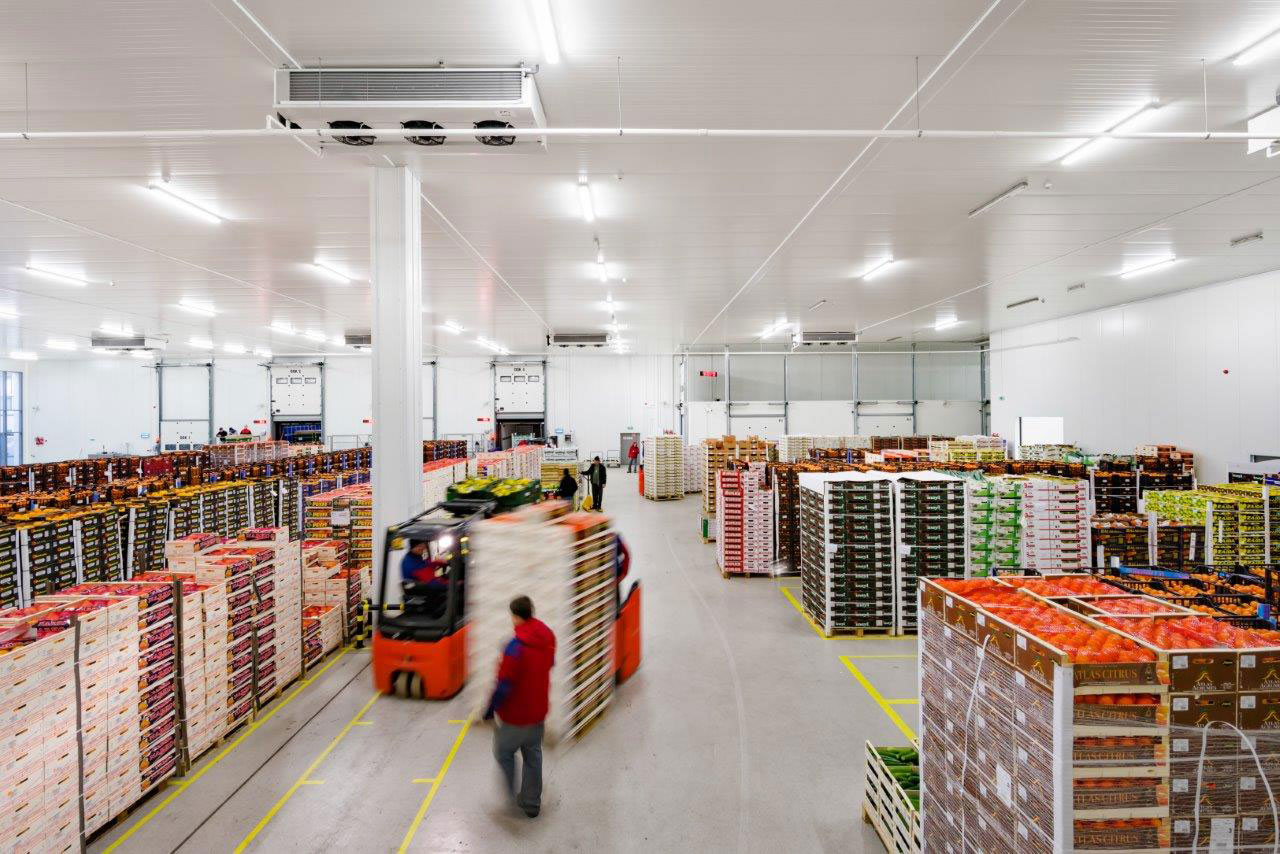 fruits in warehouse