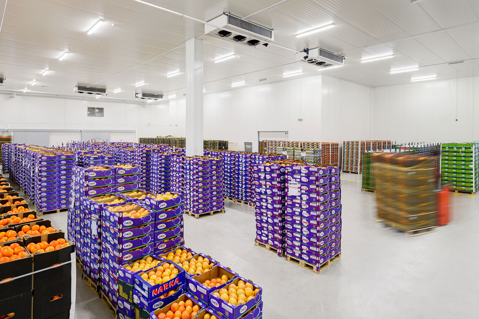 Warehouse with fruit and vegetables